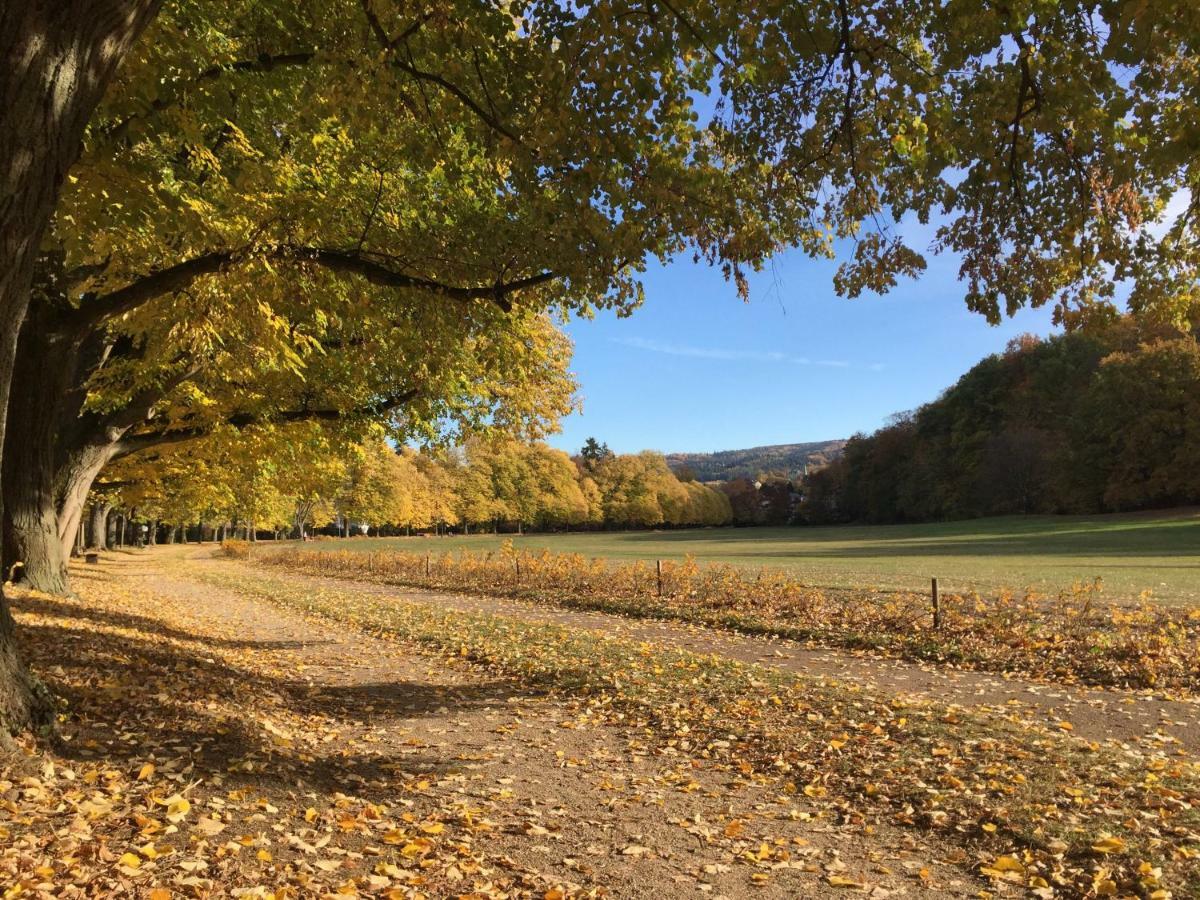 Suite Mit Blick Auf Die Lichtentaler Allee Baden-Baden Zewnętrze zdjęcie